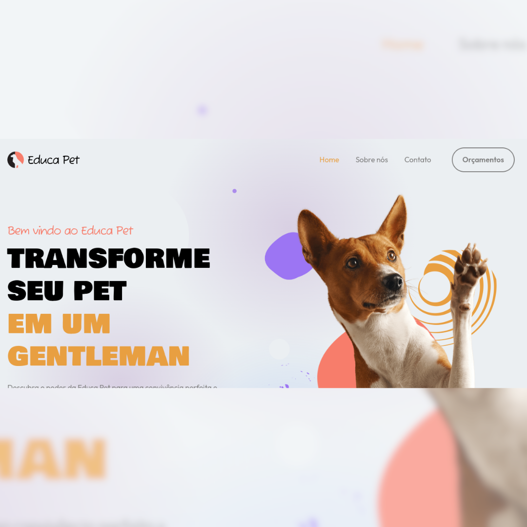portfolio-second